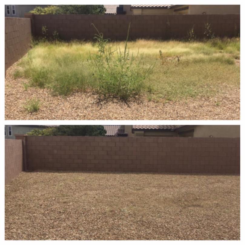 weeds_az_sahuarita_greenvalley_landscaping
