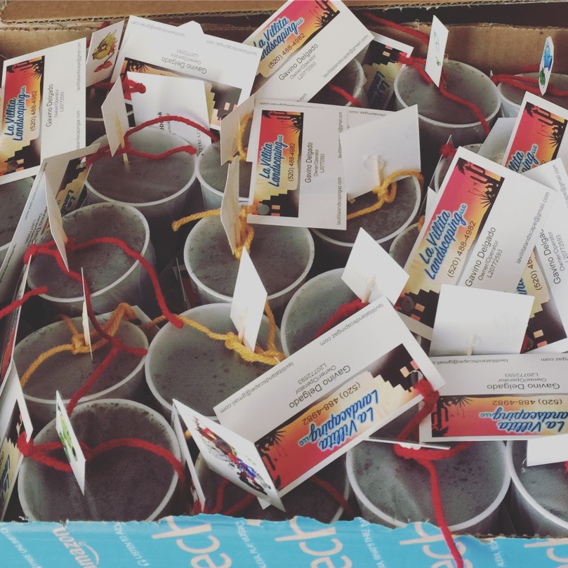 lavillita_landscaping_sahuarita_az_trunk_plant